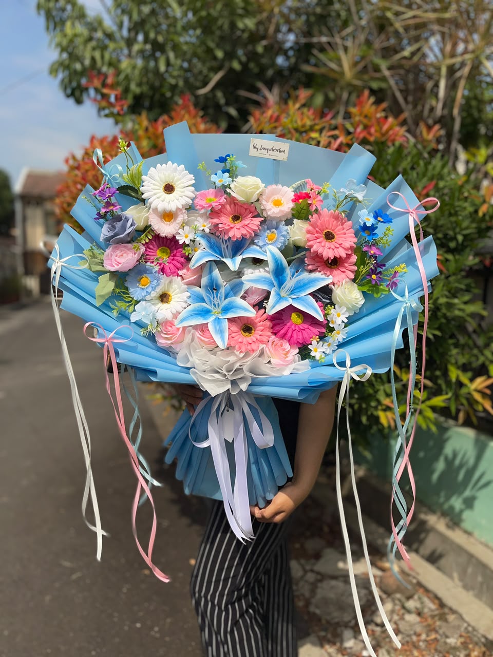 Pink Biru Lily
