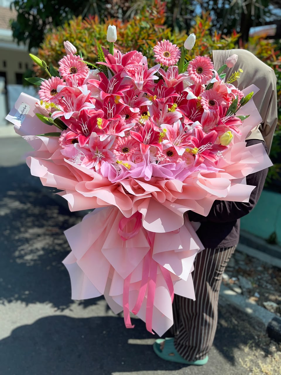 Lily Jumbo